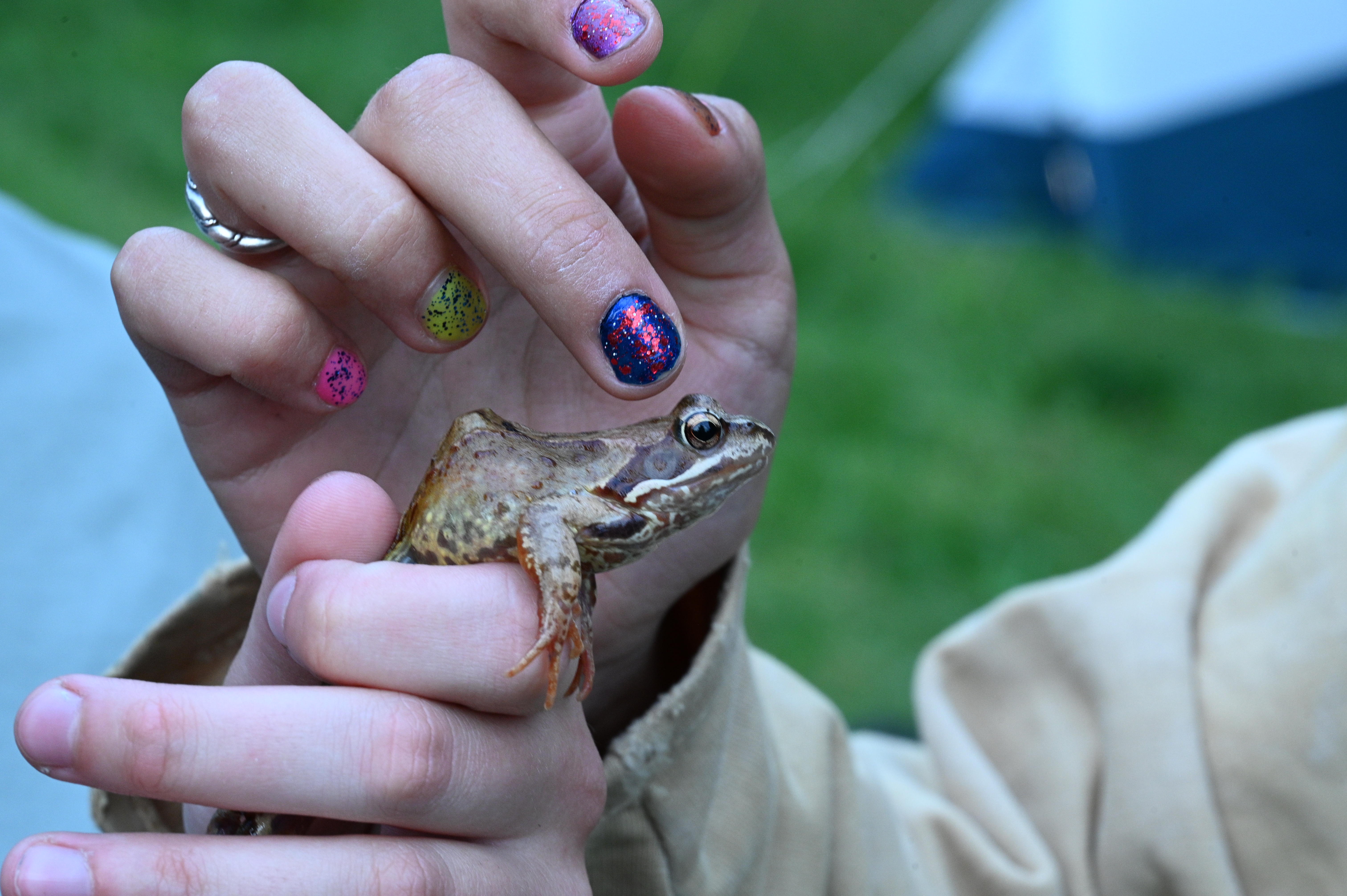 2025/07/09-14 - trip/DSC_0057.JPG